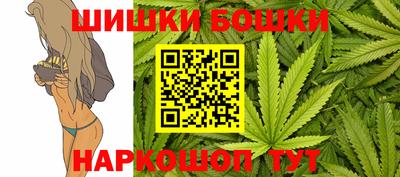 индика Кунгур