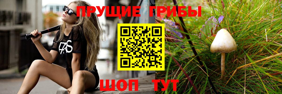 Галлюциногенные грибы мухоморы  Галлюциногенные грибы прущие грибы  дарнет шоп  Мурманск  Вход с VPN 